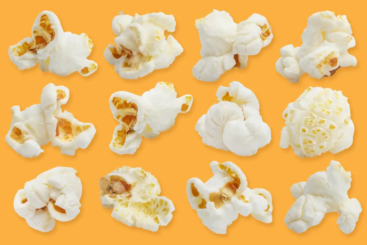 Popcorn Kernel Types