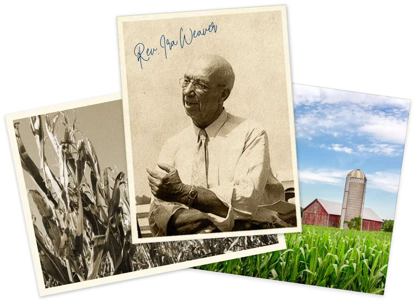 Weaver Popcorn history collage featuring a photo of Ira Weaver along with a photo of a corn field and of a farm with a red barn.
