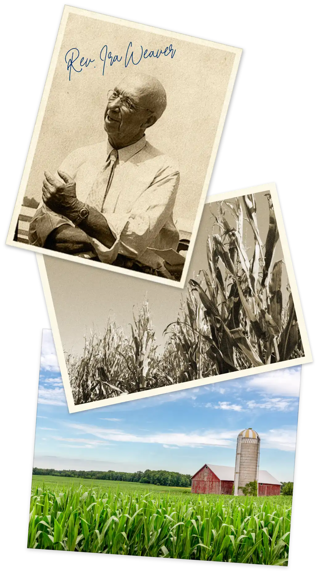 Collage Featuring A Photo Of Ira Weaver Along With A Vintage Photo Of A Corn Field And A Photo Of A Modern Farm With A Red Barn.